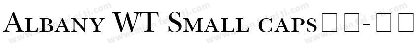 Albany WT Small caps字体字体转换
